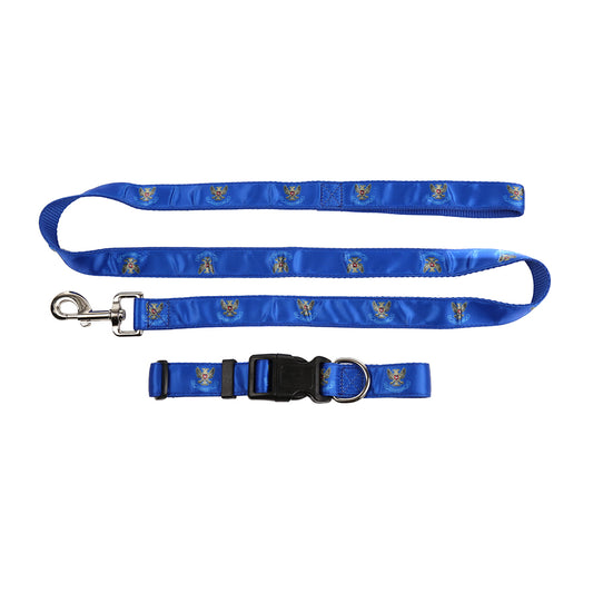 Dog Collar & Lead